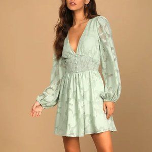 NWT- NW Tomorrow and Always Light Sage Green Burnout Floral Mini Dress